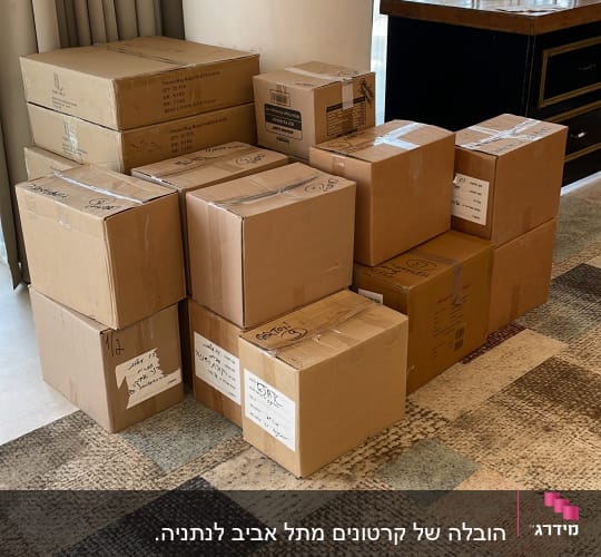 קופסאות קרטון מסומנות מונחות על שטיח צבעוני